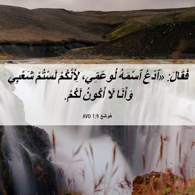 Picture 06 - هُوشَع 1:9 AVD - فَقَالَ: «ٱدْعُ ٱسْمَهُ - Bible Verse Picture