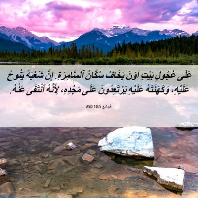 Picture 06 - هُوشَع 10:5 AVD - عَلَى عُجُولِ بَيْتِ آوَنَ - Bible Verse Picture