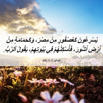 Picture 06 - هُوشَع 11:11 AVD - يُسْرِعُونَ كَعُصْفُورٍ - Bible Verse Picture
