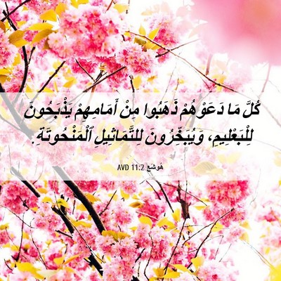 Picture 06 - هُوشَع 11:2 AVD - كُلَّ مَا دَعَوْهُمْ - Bible Verse Picture