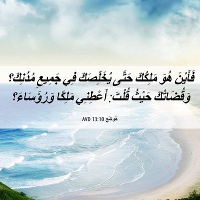 Picture 06 - هُوشَع 13:10 AVD - فَأَيْنَ هُوَ مَلِكُكَ - Bible Verse Picture