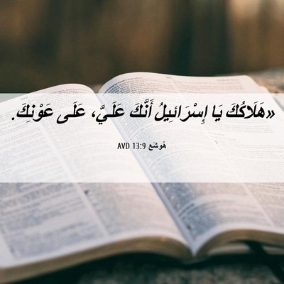 Picture 06 - هُوشَع 13:9 AVD - «هَلَاكُكَ يَا - Bible Verse Picture