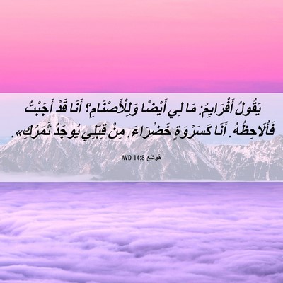 Picture 06 - هُوشَع 14:8 AVD - يَقُولُ أَفْرَايِمُ: مَا - Bible Verse Picture