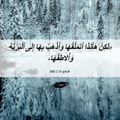 Picture 06 - هُوشَع 2:14 AVD - «لَكِنْ هَأَنَذَا - Bible Verse Picture