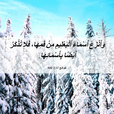 Picture 06 - هُوشَع 2:17 AVD - وَأَنْزِعُ أَسْمَاءَ - Bible Verse Picture
