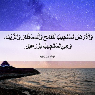 Picture 06 - هُوشَع 2:22 AVD - وَٱلْأَرْضُ تَسْتَجِيبُ - Bible Verse Picture