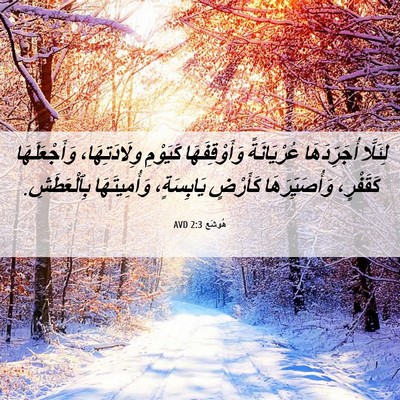 Picture 06 - هُوشَع 2:3 AVD - لِئَلَّا أُجَرِّدَهَا - Bible Verse Picture