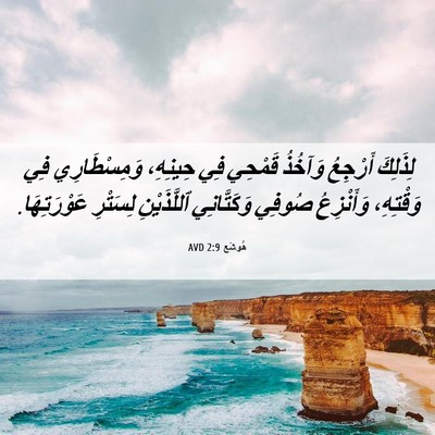 Picture 06 - هُوشَع 2:9 AVD - لِذَلِكَ أَرْجِعُ وَآخُذُ - Bible Verse Picture