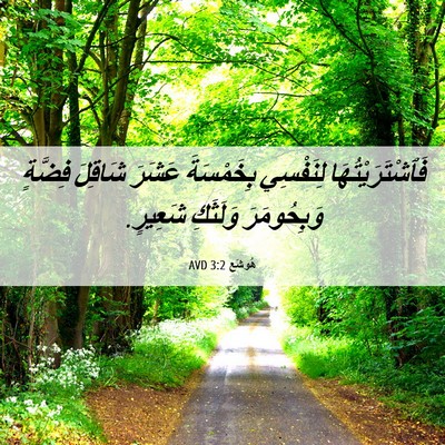 Picture 06 - هُوشَع 3:2 AVD - فَٱشْتَرَيْتُهَا - Bible Verse Picture
