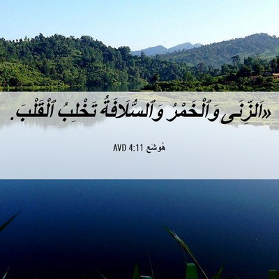 Picture 06 - هُوشَع 4:11 AVD - «اَلزِّنَى وَٱلْخَمْرُ - Bible Verse Picture