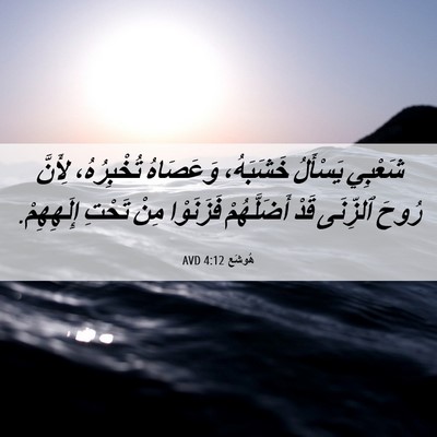 Picture 06 - هُوشَع 4:12 AVD - شَعْبِي يَسْأَلُ - Bible Verse Picture