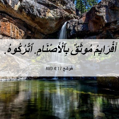 Picture 06 - هُوشَع 4:17 AVD - أَفْرَايِمُ مُوثَقٌ - Bible Verse Picture