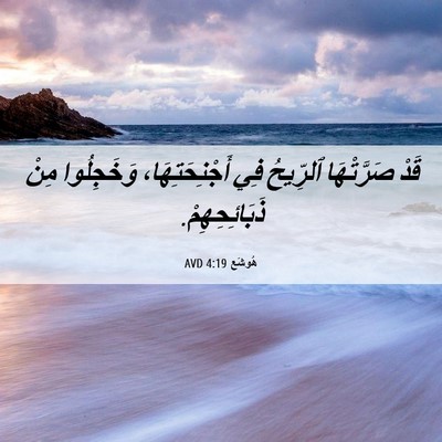 Picture 06 - هُوشَع 4:19 AVD - قَدْ صَرَّتْهَا ٱلرِّيحُ - Bible Verse Picture