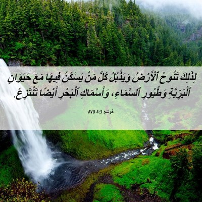 Picture 06 - هُوشَع 4:3 AVD - لِذَلِكَ تَنُوحُ - Bible Verse Picture