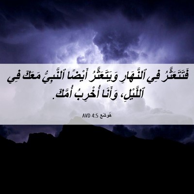 Picture 06 - هُوشَع 4:5 AVD - فَتَتَعَثَّرُ فِي - Bible Verse Picture