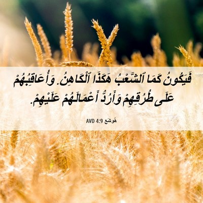 Picture 06 - هُوشَع 4:9 AVD - فَيَكُونُ كَمَا ٱلشَّعْبُ - Bible Verse Picture