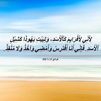 Picture 06 - هُوشَع 5:14 AVD - لِأَنِّي لِأَفْرَايِمَ - Bible Verse Picture
