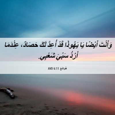 Picture 06 - هُوشَع 6:11 AVD - وَأَنْتَ أَيْضًا يَا - Bible Verse Picture