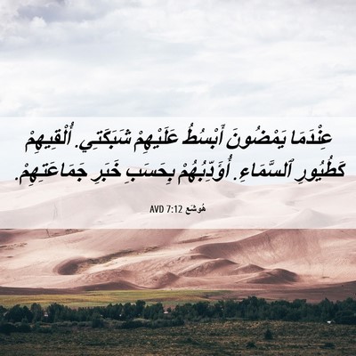 Picture 06 - هُوشَع 7:12 AVD - عِنْدَمَا يَمْضُونَ - Bible Verse Picture