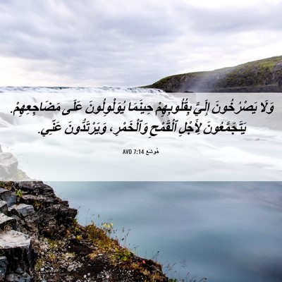 Picture 06 - هُوشَع 7:14 AVD - وَلَا يَصْرُخُونَ إِلَيَّ - Bible Verse Picture