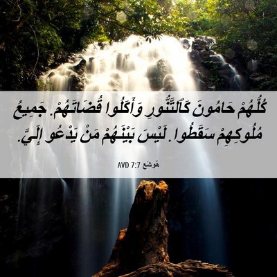 Picture 06 - هُوشَع 7:7 AVD - كُلُّهُمْ حَامُونَ - Bible Verse Picture