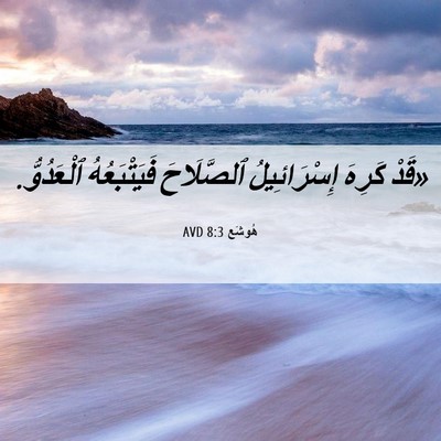 Picture 06 - هُوشَع 8:3 AVD - «قَدْ كَرِهَ إِسْرَائِيلُ - Bible Verse Picture