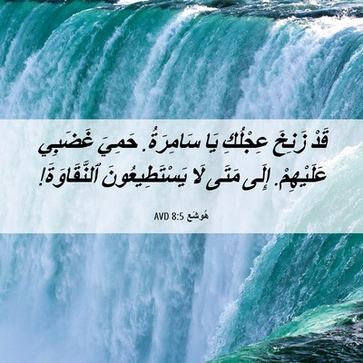 Picture 06 - هُوشَع 8:5 AVD - قَدْ زَنِخَ عِجْلُكِ يَا - Bible Verse Picture