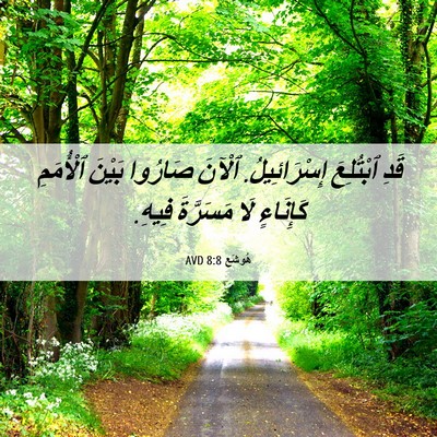 Picture 06 - هُوشَع 8:8 AVD - قَدِ ٱبْتُلِعَ - Bible Verse Picture