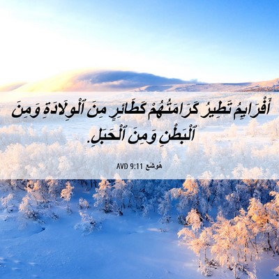 Picture 06 - هُوشَع 9:11 AVD - أَفْرَايِمُ تَطِيرُ - Bible Verse Picture