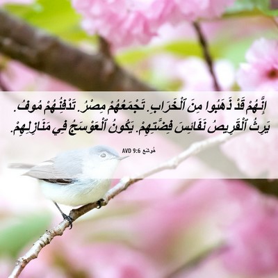 Picture 06 - هُوشَع 9:6 AVD - إِنَّهُمْ قَدْ ذَهَبُوا - Bible Verse Picture