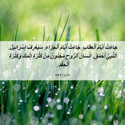 Picture 06 - هُوشَع 9:7 AVD - جَاءَتْ أَيَّامُ - Bible Verse Picture