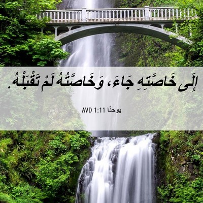 Picture 06 - يوحنَّا 1:11 AVD - إِلَى خَاصَّتِهِ جَاءَ، - Bible Verse Picture