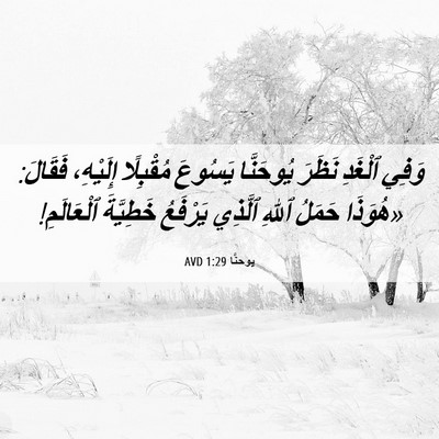 Picture 06 - يوحنَّا 1:29 AVD - وَفِي ٱلْغَدِ نَظَرَ - Bible Verse Picture