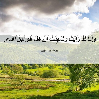 Picture 06 - يوحنَّا 1:34 AVD - وَأَنَا قَدْ رَأَيْتُ - Bible Verse Picture