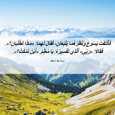 Picture 06 - يوحنَّا 1:38 AVD - فَٱلْتَفَتَ يَسُوعُ - Bible Verse Picture