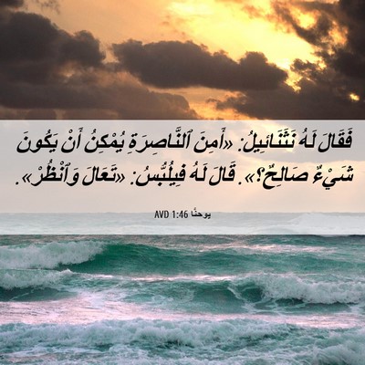 Picture 06 - يوحنَّا 1:46 AVD - فَقَالَ لَهُ نَثَنَائِيلُ: - Bible Verse Picture