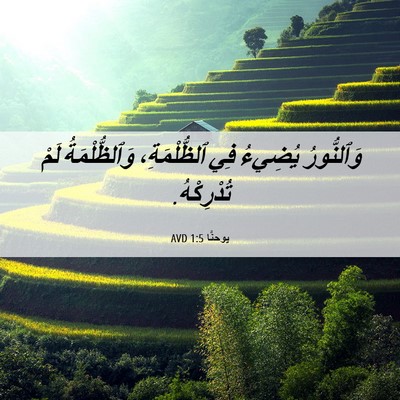 Picture 06 - يوحنَّا 1:5 AVD - وَٱلنُّورُ يُضِيءُ فِي - Bible Verse Picture