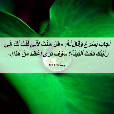 Picture 06 - يوحنَّا 1:50 AVD - أَجَابَ يَسُوعُ وَقَالَ - Bible Verse Picture
