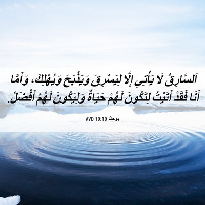 Picture 06 - يوحنَّا 10:10 AVD - اَلسَّارِقُ لَا يَأْتِي - Bible Verse Picture