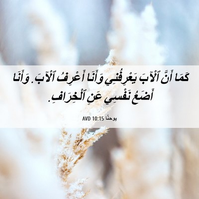 Picture 06 - يوحنَّا 10:15 AVD - كَمَا أَنَّ ٱلْآبَ - Bible Verse Picture