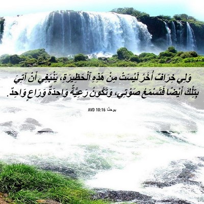 Picture 06 - يوحنَّا 10:16 AVD - وَلِي خِرَافٌ أُخَرُ - Bible Verse Picture