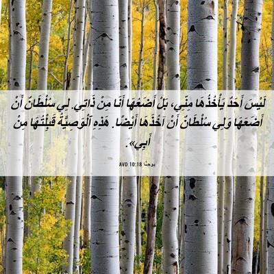 Picture 06 - يوحنَّا 10:18 AVD - لَيْسَ أَحَدٌ يَأْخُذُهَا - Bible Verse Picture