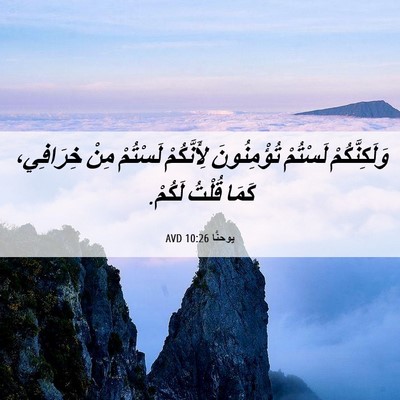 Picture 06 - يوحنَّا 10:26 AVD - وَلَكِنَّكُمْ لَسْتُمْ - Bible Verse Picture