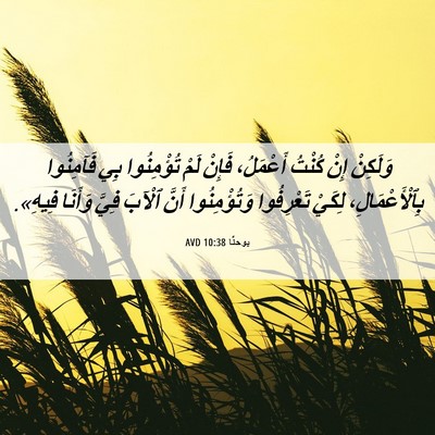Picture 06 - يوحنَّا 10:38 AVD - وَلَكِنْ إِنْ كُنْتُ - Bible Verse Picture