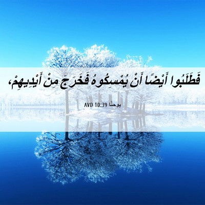 Picture 06 - يوحنَّا 10:39 AVD - فَطَلَبُوا أَيْضًا أَنْ - Bible Verse Picture