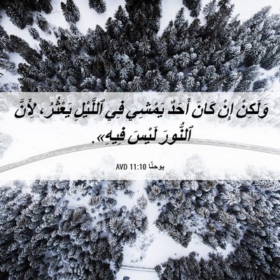 Picture 06 - يوحنَّا 11:10 AVD - وَلَكِنْ إِنْ كَانَ أَحَدٌ - Bible Verse Picture