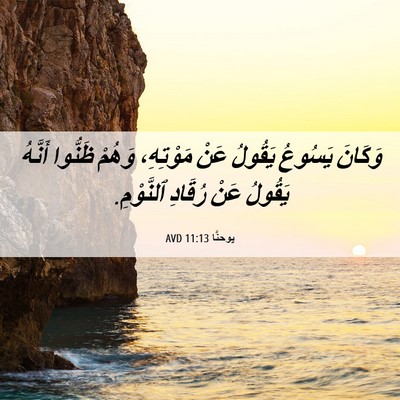 Picture 06 - يوحنَّا 11:13 AVD - وَكَانَ يَسُوعُ يَقُولُ - Bible Verse Picture