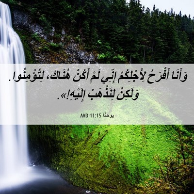 Picture 06 - يوحنَّا 11:15 AVD - وَأَنَا أَفْرَحُ - Bible Verse Picture