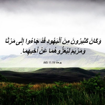 Picture 06 - يوحنَّا 11:19 AVD - وَكَانَ كَثِيرُونَ مِنَ - Bible Verse Picture