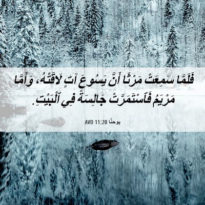 Picture 06 - يوحنَّا 11:20 AVD - فَلَمَّا سَمِعَتْ مَرْثَا - Bible Verse Picture